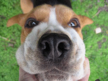 ����� ���� ���� ��� ����� ������� �����